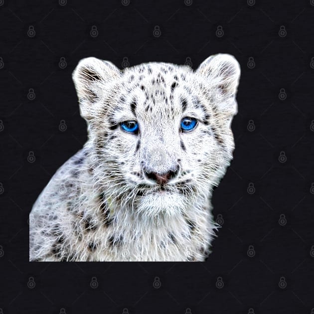 Snow Leopard Cub by Orikall